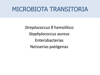 MICROBIOTA TRANSITORIA
Streptococcus β hemolítico
Staphylococcus aureus
Enterobacterias
Neisserias patógenas
 