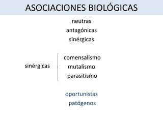 ASOCIACIONES BIOLÓGICAS
neutras
antagónicas
sinérgicas
comensalismo
mutalismo
parasitismo
oportunistas
patógenos
sinérgicas
 