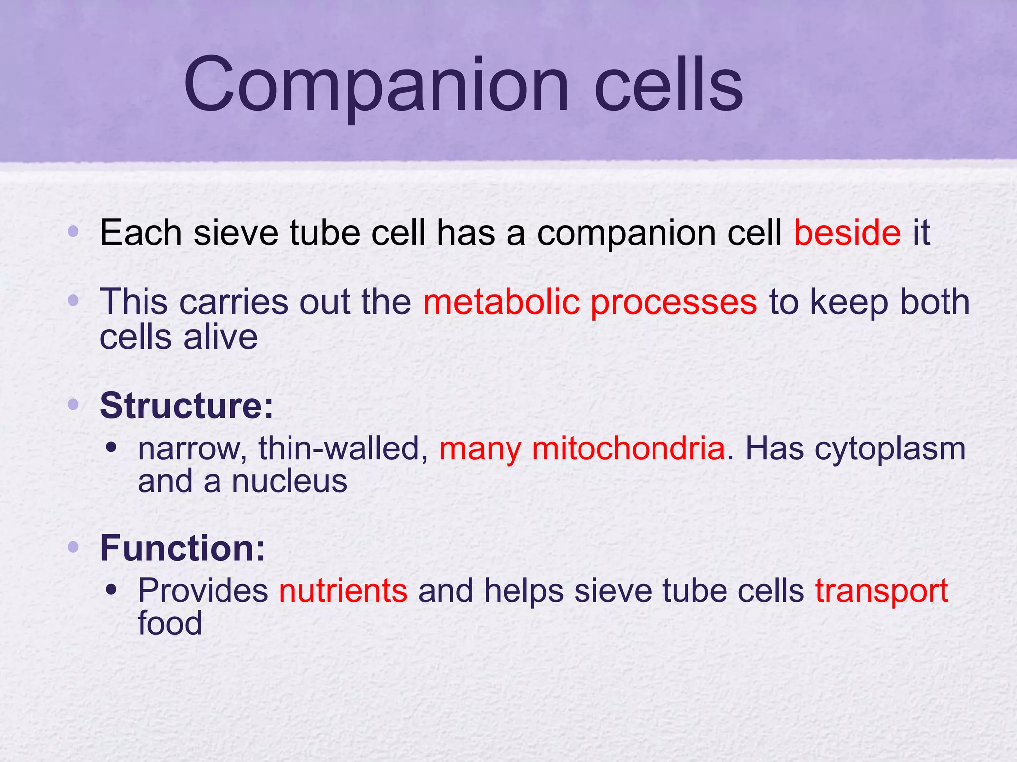 Translocation Process Companion Cell transport in plants | PPT