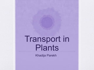 Transport in
Plants
Khadija Parekh
 