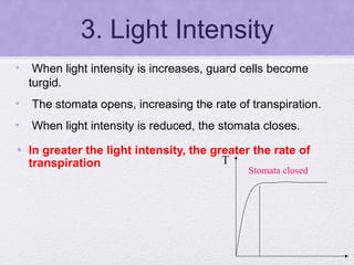 transport in plants | PPT