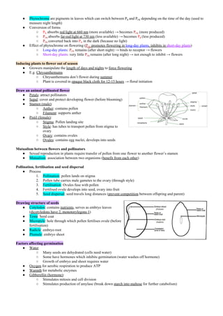 ● Phytochrome​ are pigments in leaves which can switch between P​R ​and P​FR​ depending on the time of the day (used to
measure night length)
● Conversion of forms
○ P​R​ absorbs ​red light at 660 nm​ (more available) → becomes ​P​FR​ (more produced)
○ P​FR​ ​absorbs ​far-red light at 730 nm​ (less available) → becomes ​P​R​ ​(less produced)
○ P​FR​ ​converted back into ​P​R​ in the dark (because no light)
● Effect of phytochrome on flowering (​P​FR​ promotes flowering in ​long-day plants​, inhibits in ​short-day plants​)
○ Long-day plants​: ​P​FR​ remains (after short night) → binds to receptor → flowers
○ Short-day plants​: very little ​P​FR​ ​remains (after long night) → not enough to inhibit → flowers
Inducing plants to flower out of season
● Growers manipulate the ​length of days and nights​ to ​force flowering
● E.g. ​Chrysanthemums
○ Chrysanthemums don’t flower during ​summer
○ Plant is covered in ​opaque black cloth for 12-15 hours​ → floral initiation
Draw an animal pollinated flower
● Petals​: attract pollinators
● Sepal​: cover and protect developing flower (before blooming)
● Stamen (male)​:
○ Anther​: contains pollen
○ Filament​: supports anther
● Pistil (female)​:
○ Stigma​: Pollen landing site
○ Style​: has tubes to transport pollen from stigma to
ovary
○ Ovary​: contains ovules
○ Ovules​: contains egg nuclei, develops into seeds
Mutualism between flowers and pollinators
● Sexual reproduction in plants require transfer of pollen from one flower to another flower’s stamen
● Mutualism​: association between two organisms (​benefit from each other​)
Pollination, fertilisation and seed dispersal
● Process
1. Pollination​: pollen lands on stigma
2. Pollen tube carries male gametes to the ovary (through style)
3. Fertilisation​: Ovules fuse with pollen
4. Fertilised ovule develops into seed, ovary into fruit
5. Seed dispersal​: seed travels long distances (​prevent competition​ between offspring and parent)
Drawing structure of seeds
● Cotyledon​: contains ​nutrients​, serves as embryo leaves
(​dicotyledons have 2, monotorylegons 1​)
● Testa​: Seed coat
● Micropyle​: hole through which pollen fertilises ovule (before
fertilisation)
● Radicle​: embryo root
● Plumule​: embryo shoot
Factors affecting germination
● Water
○ Many seeds are dehydrated (cells need water)
○ Some have hormones which inhibits germination (water washes off hormone)
○ Growth of embryo and shoot requires water
● Oxygen​ for aerobic respiration to produce ATP
● Warmth​ for metabolic enzymes
● Gibberellin (hormone)​:
○ Stimulates mitosis and cell division
○ Stimulates production of amylase (break down ​starch into maltose​ for further catabolism)
 