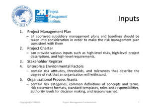 Program Risk Inputs Project Risk Management | PDF