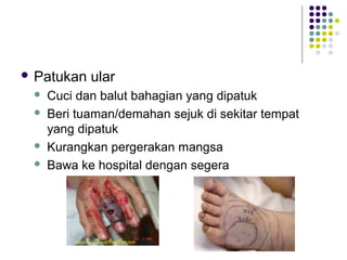 Patukan ular
 Cuci dan balut bahagian yang dipatuk
 Beri tuaman/demahan sejuk di sekitar tempat
yang dipatuk
 Kurangkan pergerakan mangsa
 Bawa ke hospital dengan segera
 