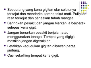  Seseorang yang kena gigitan ular selalunya
terkejut dan menderita kerana takut mati. Pulihkan
rasa terkejut dan panaskan tubuh mangsa.
 Baringkan pesakit dan jangan biarkan ia bergerak
selepas kena gigit.
 Jangan benarkan pesakit berjalan atau
menggunakan tenaga. Tempat yang digigit
mestilah jangan digerakkan.
 Letakkan kedudukan gigitan dibawah paras
jantung.
 Cuci sekeliling tempat kena gigit.
 