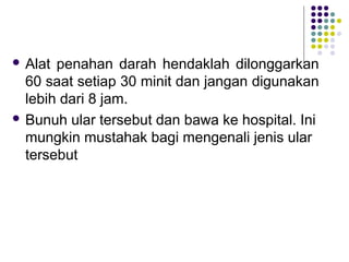  Alat penahan darah hendaklah dilonggarkan
60 saat setiap 30 minit dan jangan digunakan
lebih dari 8 jam.
 Bunuh ular tersebut dan bawa ke hospital. Ini
mungkin mustahak bagi mengenali jenis ular
tersebut
 