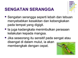 SENGATAN SERANGGA
 Sengatan serangga seperti lebah dan tebuan
menyebabkan kesakitan dan kebengkakan
pada tempat yang digigit.
 Ia juga kadangkala menimbulkan perasaan
ketakutan kepada mangsa.
 Jika seseorang itu sensitif pada sengat atau
disengat di dalam mulut, ia akan
membengkak dengan cepat.
 