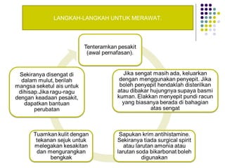 LANGKAH-LANGKAH UNTUK MERAWAT.
 
