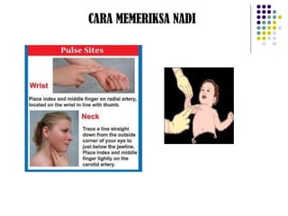 CARA MEMERIKSA NADI
 