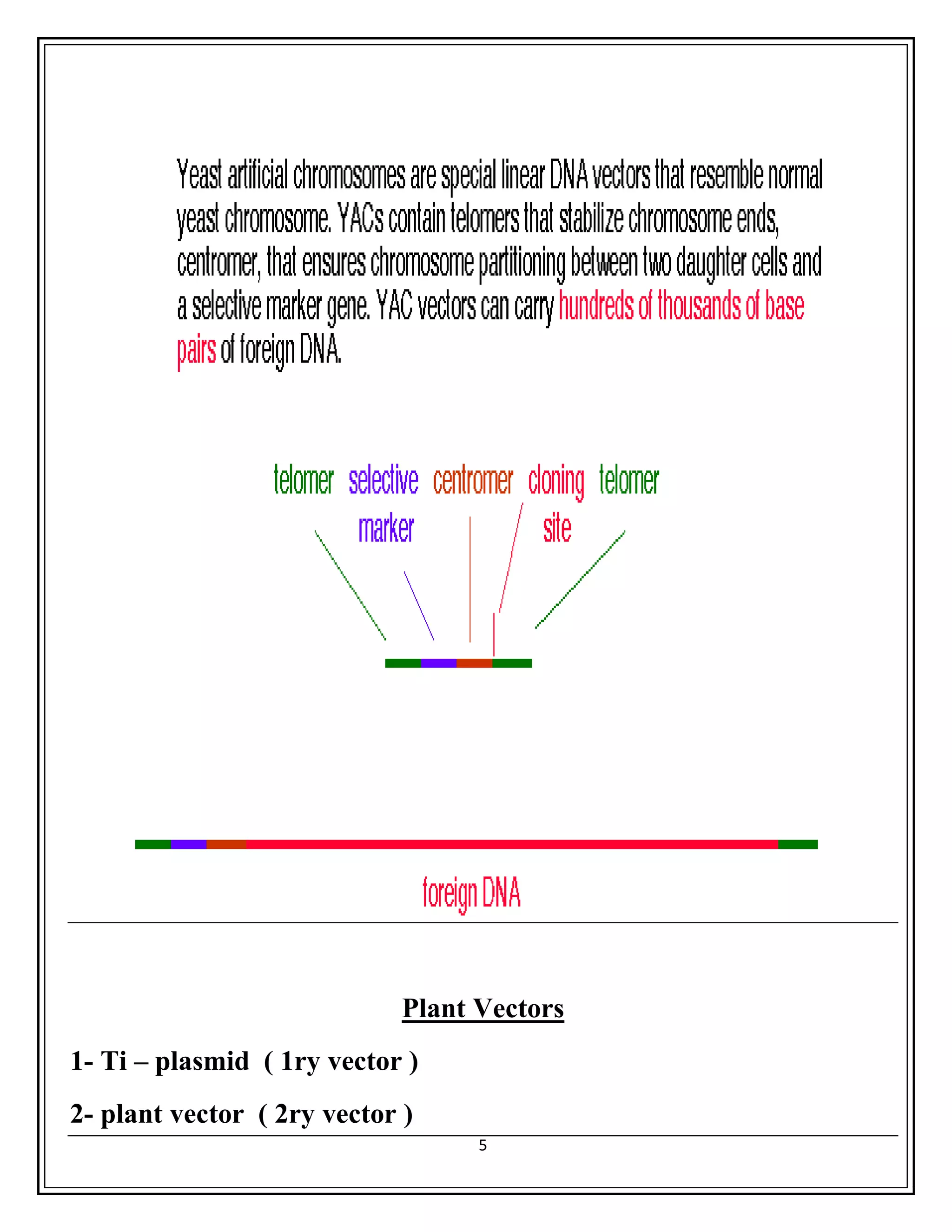 Yeast Artificial Chromosome Vector – VHKTX