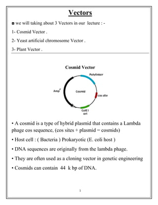 1
Vectors
◘ we will taking about 3 Vectors in our lecture : -
1- Cosmid Vector .
2- Yeast artificial chromosome Vector .
3- Plant Vector .
Cosmid Vector
• A cosmid is a type of hybrid plasmid that contains a Lambda
phage cos sequence, (cos sites + plasmid = cosmids)
• Host cell : ( Bacteria ) Prokaryotic (E. coli host )
• DNA sequences are originally from the lambda phage.
• They are often used as a cloning vector in genetic engineering
• Cosmids can contain 44 k bp of DNA.
 