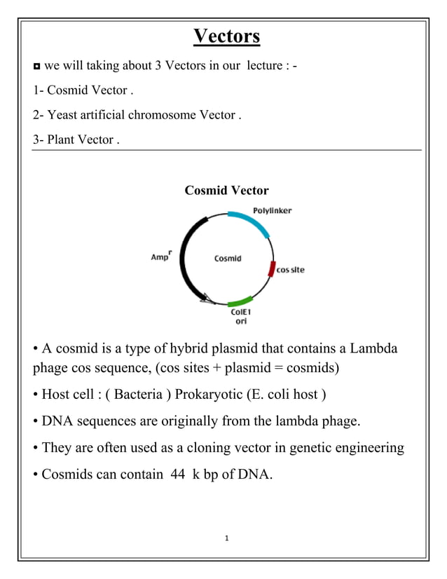 Vectors for Cloning DNA Cosmid, YAC, and TiPlasmid PDF