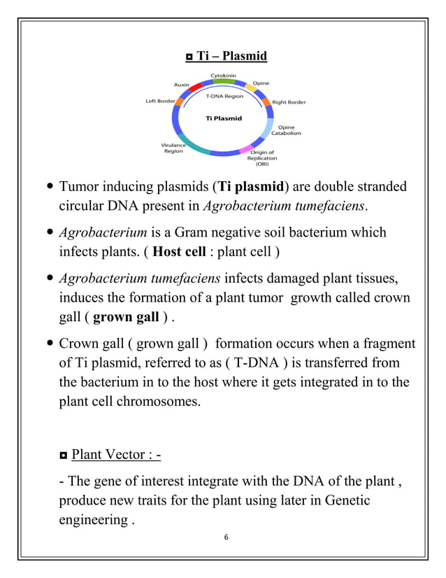 Cosmid Vector and Yeast artificial chromosome Vector and Plant Vectors