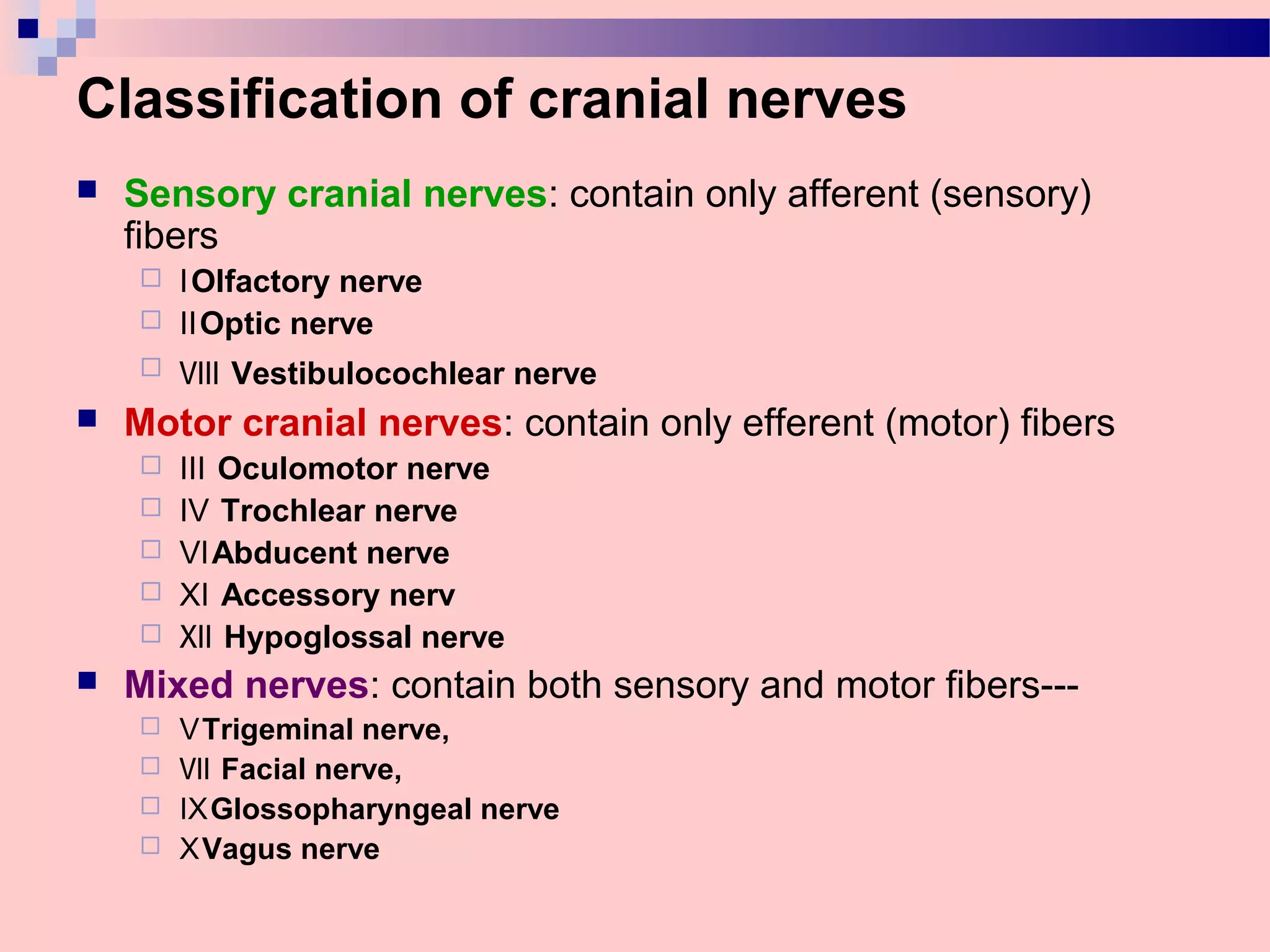 Peripheral Nervous System. Cranial Nerves – Part 1 | PPT