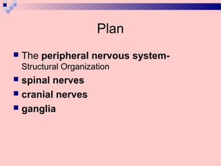 Plan
 The peripheral nervous system-
Structural Organization
 spinal nerves
 cranial nerves
 ganglia
 