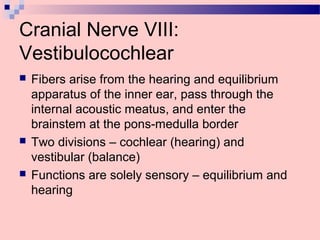 Cranial Nerve VIII:
Vestibulocochlear
 Fibers arise from the hearing and equilibrium
apparatus of the inner ear, pass through the
internal acoustic meatus, and enter the
brainstem at the pons-medulla border
 Two divisions – cochlear (hearing) and
vestibular (balance)
 Functions are solely sensory – equilibrium and
hearing
 