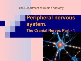 The Department of Human anatomy
Peripheral nervous
system.
The Cranial Nerves Part - 1
 