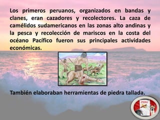 Los primeros peruanos, organizados en bandas y
clanes, eran cazadores y recolectores. La caza de
camélidos sudamericanos en las zonas alto andinas y
la pesca y recolección de mariscos en la costa del
océano Pacífico fueron sus principales actividades
económicas.
También elaboraban herramientas de piedra tallada.
 