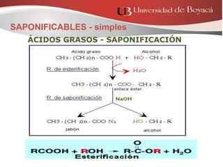 ÁCIDOS GRASOS - SAPONIFICACIÓN
SAPONIFICABLES - simples
 