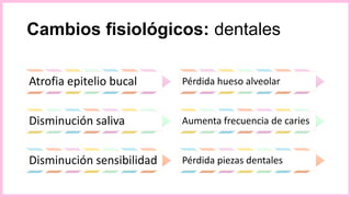 Cambios fisiológicos: dentales
Atrofia epitelio bucal
Disminución saliva
Disminución sensibilidad
Pérdida hueso alveolar
Aumenta frecuencia de caries
Pérdida piezas dentales
 