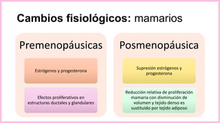Cambios fisiológicos: mamarios
Premenopáusicas
Estrógenos y progesterona
Efectos proliferativos en
estructuras ductales y glandulares
Posmenopáusica
Supresión estrógenos y
progesterona
Reducción relativa de proliferación
mamaria con disminución de
volumen y tejido denso es
sustituido por tejido adiposo
 
