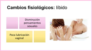 Cambios fisiológicos: líbido
Disminución
pensamientos
sexuales
Poca lubricación
vaginal
 