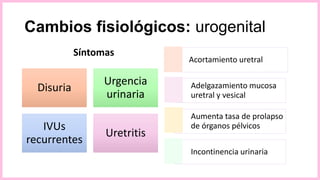 Cambios fisiológicos: urogenital
Acortamiento uretral
Adelgazamiento mucosa
uretral y vesical
Aumenta tasa de prolapso
de órganos pélvicos
Incontinencia urinaria
Disuria
Urgencia
urinaria
IVUs
recurrentes
Uretritis
Síntomas
 