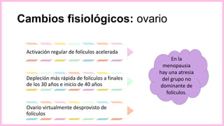 Cambios fisiológicos: ovario
Activación regular de folículos acelerada
Depleción más rápida de folículos a finales
de los 30 años e inicio de 40 años
Ovario virtualmente desprovisto de
folículos
En la
menopausia
hay una atresia
del grupo no
dominante de
folículos.
 