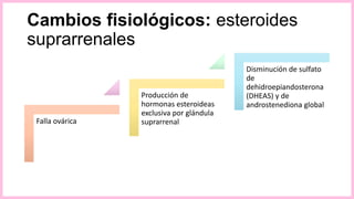 Cambios fisiológicos: esteroides
suprarrenales
Falla ovárica
Producción de
hormonas esteroideas
exclusiva por glándula
suprarrenal
Disminución de sulfato
de
dehidroepiandosterona
(DHEAS) y de
androstenediona global
 