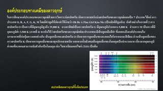 องค์ประกอบทางเคมีของดาวฤกษ์
ในการศึกษาองค์ประกอบของดาวฤกษ์ด้วยการวิเคราะห์สเปกตรัม นักดาราศาสตร์แบ่งสเปกตรัมของดาวฤกษ์ออกเป็น 7 ประเภท ได้แก่ ดาว
ประเภท O, B, A, F, G, K, M โดยมีคาพูดให้ท่องจาได้ง่ายว่า Oh Be A Fine Girl Kiss Me (เป็นเด็กดีก็จูบฉัน) ดังตัวอย่างในภาพที่ 2 ดาว
สเปกตรัม O เป็นดาวที่มีอุณหภูมิสูงถึง 35,000 K ดวงอาทิตย์เป็นดาวสเปกตรัม G มีอุณหภูมิปานกลาง 5,800 K ส่วนดาว M เป็นดาวที่มี
อุณหภูมิต่า 3,500 K (ภาพที่ 4) จะเห็นได้ว่าสเปกตรัมของดาวฤกษ์แต่ละประเภทจะมีเส้นดูดกลืนสีดา ซึ่งแสดงถึงองค์ประกอบใน
บรรยากาศที่ห่อหุ้มดาวแตกต่างกัน เส้นดูดกลืนของสเปกตรัม O เกิดจากการดูดกลืนของอะตอมไฮโดรเจนและฮีเลียม ส่วนเส้นดูดกลืนของ
ดาวสเปกตรัม K เกิดจากการดูดกลืนของธาตุหนักหลายชนิด นอกจากนั้นยังพบเส้นดูดกลืนของโมเลกุลเป็นจานวนมาก เนื่องจากอุณหภูมิ
ต่าพอที่อะตอมสามารถจับตัวกันเป็นโมเลกุล เช่น ไททาเนียมออกไซด์ (TiO) เป็นต้น
สเปกตรัมของดาวฤกษ์ทั้งเจ็ดประเภท
 