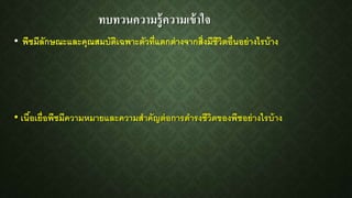 ทบทวนความรู้ความเข้าใจ
• เนื้อเยื่อพืชมีความหมายและความสาคัญต่อการดารงชีวิตของพืชอย่างไรบ้าง
• พืชมีลักษณะและคุณสมบัติเฉพาะตัวที่แตกต่างจากสิ่งมีชีวิตอื่นอย่างไรบ้าง
 