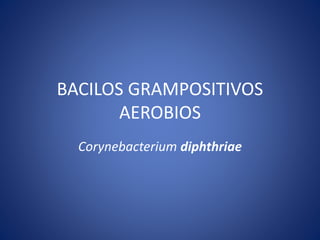 BACILOS GRAMPOSITIVOS
AEROBIOS
Corynebacterium diphthriae
 