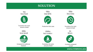 www.cricketone.asiawww.cricketone.asia
SOLUTION
To produce the same
amount of beef
Production than cows To produce the same
amount of beef
Compared to traditional
livestock
To produce the same
amount of beef
In protein compared
to beef
 