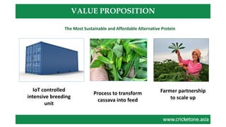 www.cricketone.asiawww.cricketone.asia
VALUE PROPOSITION
IoT controlled
intensive breeding
unit
Process to transform
cassava into feed
Farmer partnership
to scale up
The Most Sustainable and Affordable Alternative Protein
 