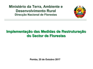 Pemba, 25 de Outubro 2017
Ministério da Terra, Ambiente e
Desenvolvimento Rural
Direcção Nacional de Florestas
Implementação das Medidas de RestruturaçãoImplementação das Medidas de Restruturação
do Sector de Florestasdo Sector de Florestas
 