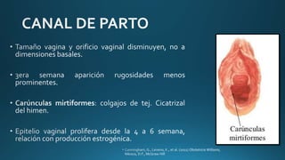 9-puerperio-ginecologia-pptx