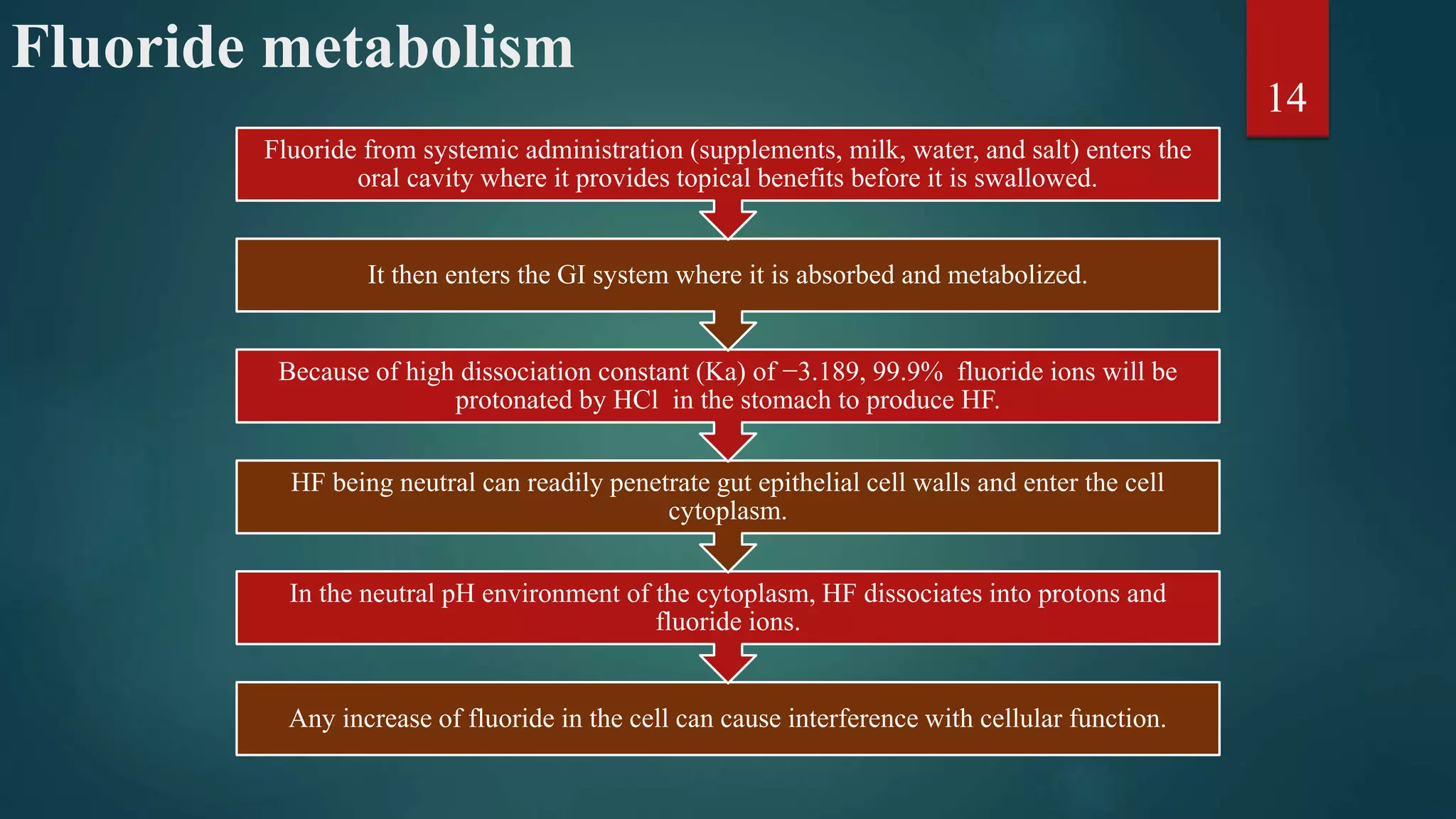 Fluoride metabolism
Any increase of fluoride in the cell can cause interference with cellular function.
In the neutral pH environment of the cytoplasm, HF dissociates into protons and
fluoride ions.
HF being neutral can readily penetrate gut epithelial cell walls and enter the cell
cytoplasm.
Because of high dissociation constant (Ka) of −3.189, 99.9% fluoride ions will be
protonated by HCl in the stomach to produce HF.
It then enters the GI system where it is absorbed and metabolized.
Fluoride from systemic administration (supplements, milk, water, and salt) enters the
oral cavity where it provides topical benefits before it is swallowed.
14
 