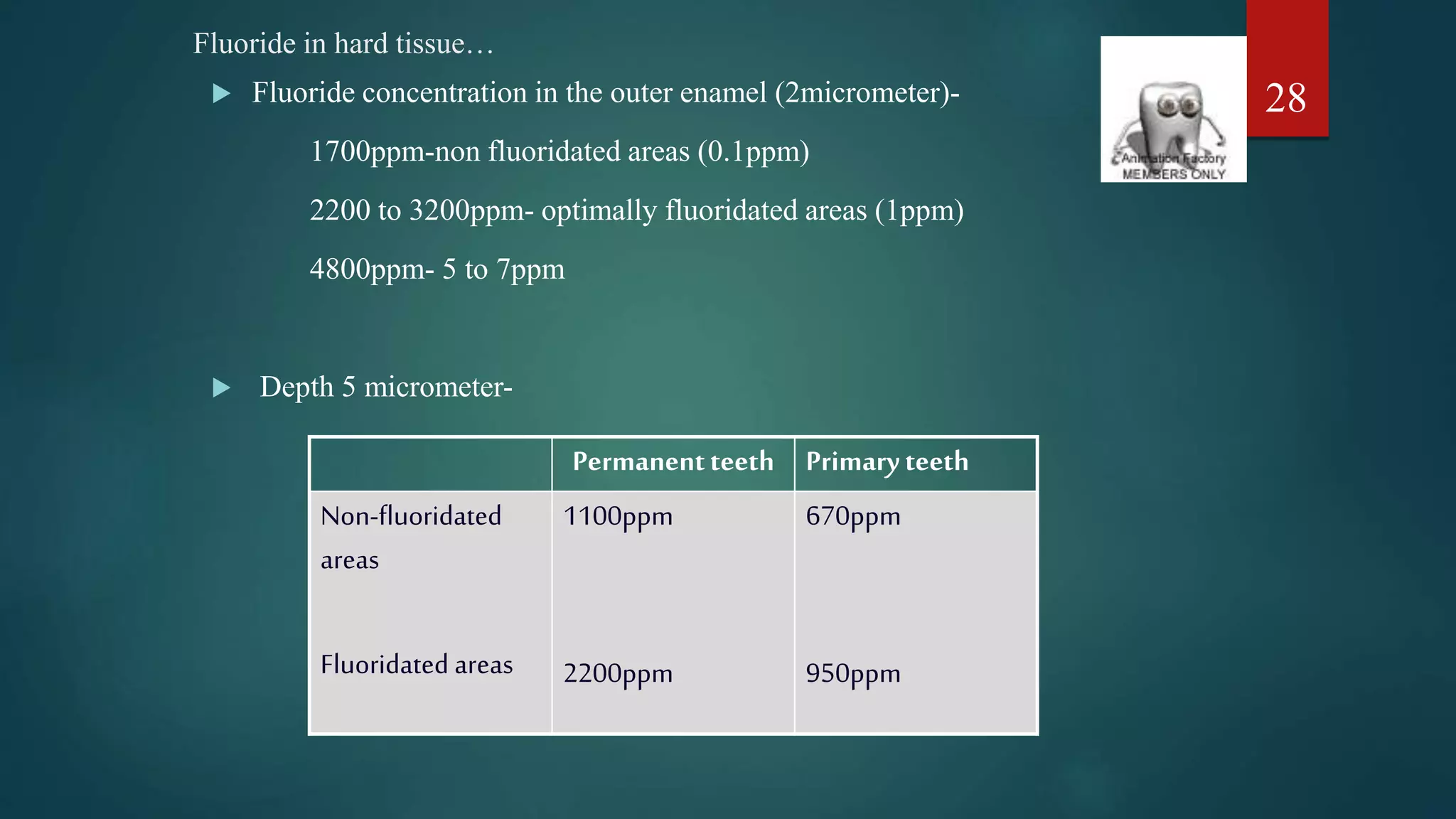Fluoride in hard tissue…
 Fluoride concentration in the outer enamel (2micrometer)-
1700ppm-non fluoridated areas (0.1ppm)
2200 to 3200ppm- optimally fluoridated areas (1ppm)
4800ppm- 5 to 7ppm
 Depth 5 micrometer-
Permanentteeth Primaryteeth
Non-fluoridated
areas
Fluoridated areas
1100ppm
2200ppm
670ppm
950ppm
28
 