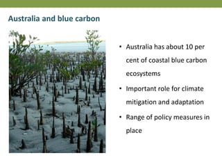 • Australia has about 10 per
cent of coastal blue carbon
ecosystems
• Important role for climate
mitigation and adaptation
• Range of policy measures in
place
Australia and blue carbon
 