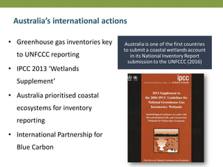 Australia’s international actions
• Greenhouse gas inventories key
to UNFCCC reporting
• IPCC 2013 ‘Wetlands
Supplement’
• Australia prioritised coastal
ecosystems for inventory
reporting
• International Partnership for
Blue Carbon
 