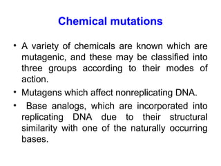 Futation Meaning Mutation | PPT