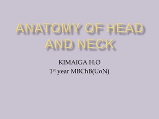 KIMAIGA H.O
1st year MBChB(UoN)
 