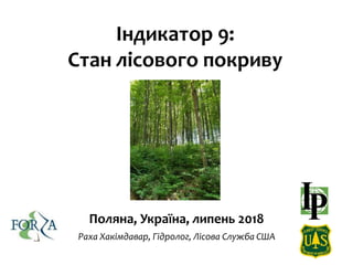 Індикатор 9:
Стан лісового покриву
Поляна, Україна, липень 2018
Раха Хакімдавар, Гідролог, Лісова Служба США
 