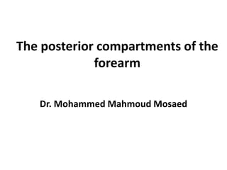 The posterior compartments of the
forearm
Dr. Mohammed Mahmoud Mosaed
 
