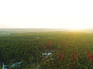 How to communicate environmental friendly forest management in Sweden