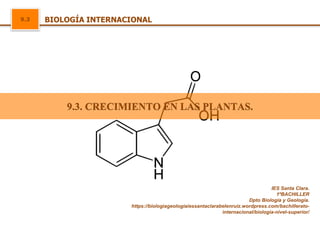 9.3 BIOLOGÍA INTERNACIONAL
IES Santa Clara.
1ºBACHILLER
Dpto Biología y Geología.
https://biologiageologiaiessantaclarabelenruiz.wordpress.com/bachillerato-
internacional/biologia-nivel-superior/
9.3. CRECIMIENTO EN LAS PLANTAS.
 
