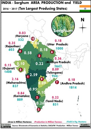 INDIA - Sorghum AREA, PRODUCTION and YIELD
2016 - 2017 (Ten Largest Producing States)
N
1
2
7
8
9
5
6
(Rajasthan)
0.35
603
(Karnataka)
0.84
889
(Maharashtra)
2.16
837
0.18
1814
(Andhra Pradesh)
3
4
0.36
1641
[Madhya Pradesh)
10
0.03
532
[Haryana ]
0.18
1000
[Uttar Pradesh)
(Tamil Nadu)
0.22
851
(Gujarat)
0.15
1408 (Telengana)
0.09
9442.59
0.95
0.22
0.58
0.26
0.18
0.10
0.10
0.09
0.06
Sorghum
 