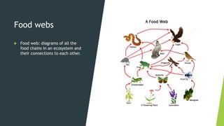 9. ecosystems | PPTX
