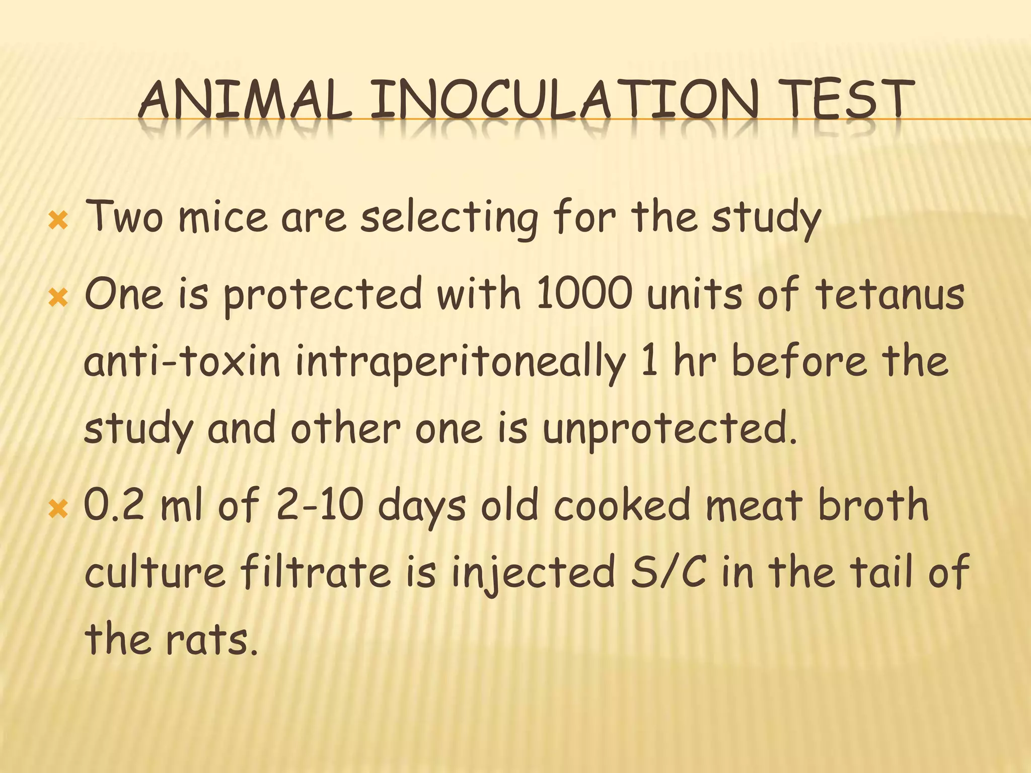 ANIMAL INOCULATION TEST
 Two mice are selecting for the study
 One is protected with 1000 units of tetanus
anti-toxin intraperitoneally 1 hr before the
study and other one is unprotected.
 0.2 ml of 2-10 days old cooked meat broth
culture filtrate is injected S/C in the tail of
the rats.
 