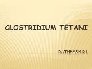 RATHEESH R.L
CLOSTRIDIUM TETANI
 